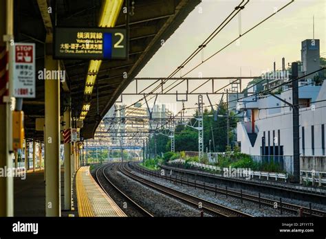 横浜駅モーニング：都市の鼓動と朝の光